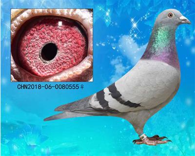ĸH