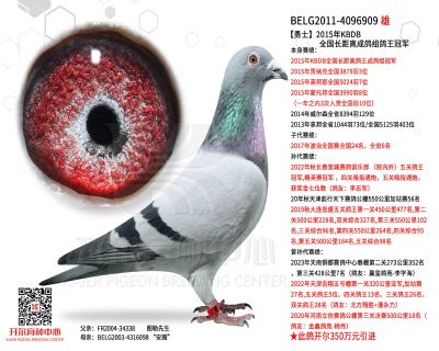 游