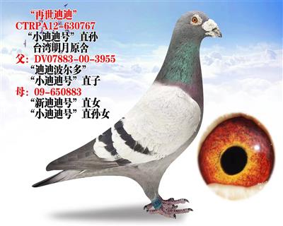 ϵϡ СϵֱO _(ti)ԭ