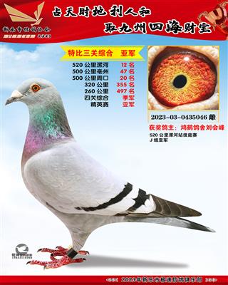 �ر������ۺ��Ǿ�