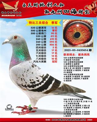 ���������ھ�