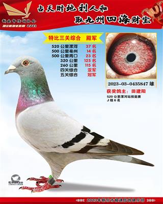 ��ظ����ھ�