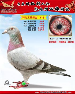 �ر��ۺ�5��