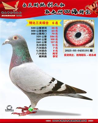 �˹ظ������