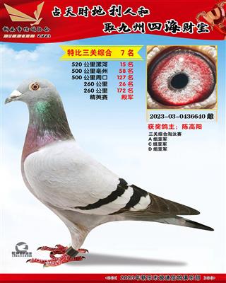 �رȻ���Ӣ�ۺϵ��