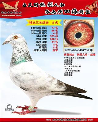 ���������Ǿ�