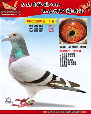 �رȻ��ۺ�9��