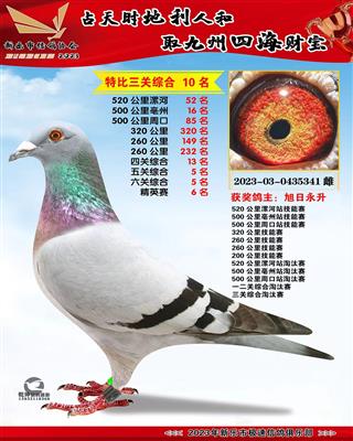 6�ظ���5��