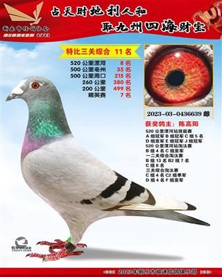 �ر��ۺ�11��