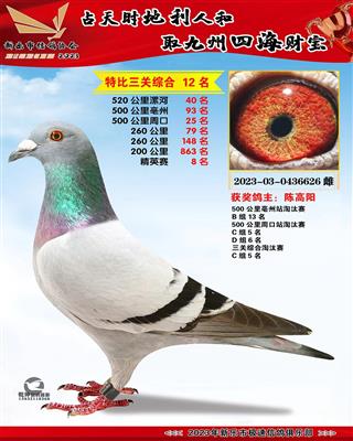 �ر��ۺ�12��