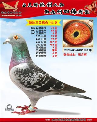 ��ظ�������