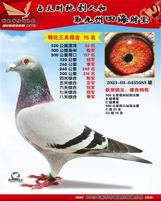 �߹ظ����ھ�