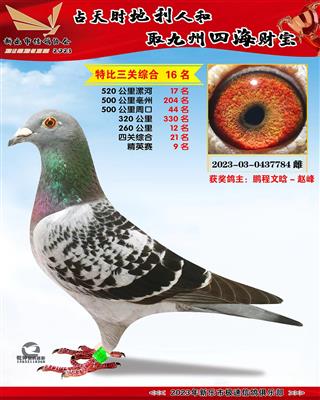 �ر��ۺ�16��