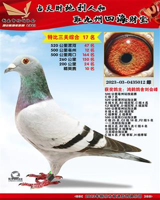 �ر��ۺ�17��