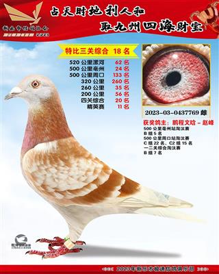 �����ۺ�18��