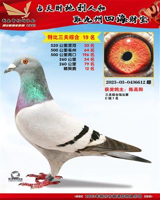 ��Ӣ���ۺ�12��