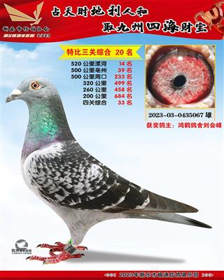 ��ɱ��14��