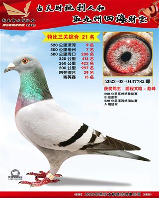 ��Ӣ���ۺ�13��