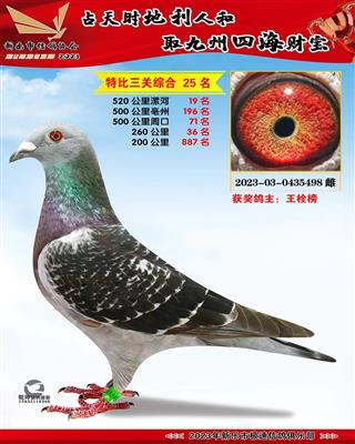 �����ۺ�19��