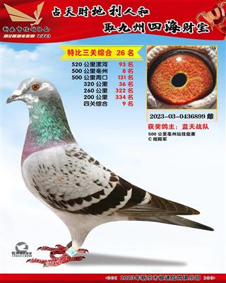 �Ĺ��ۺ�9��