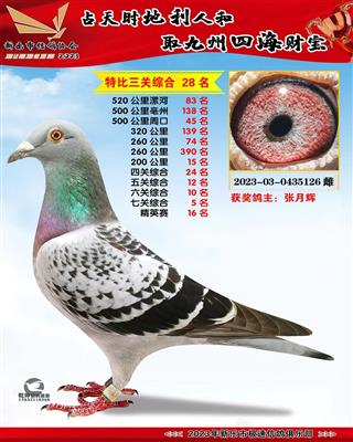 �߹ظ���5��