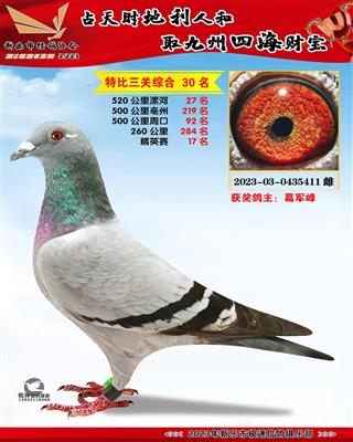 ��Ӣ���ۺ�17��