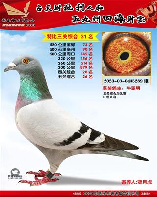 ��ظ���26��