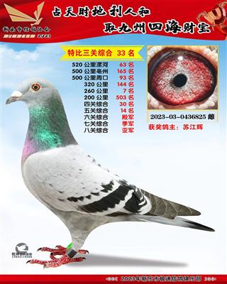 �˹ظ����Ǿ�