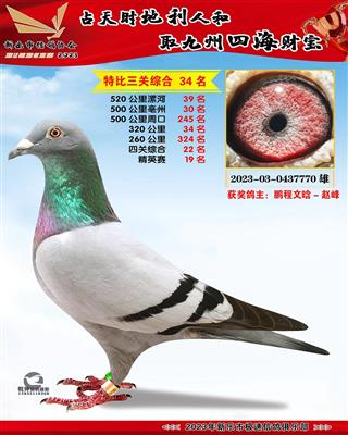 ��Ӣ�ۺ�19��