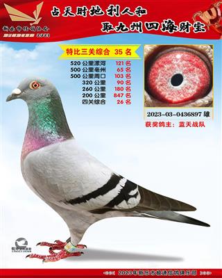 �Ĺ��ۺ�26��