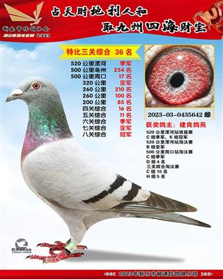 8�ظ����ھ�