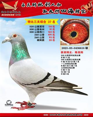 ��Ӣ�ۺ�20��