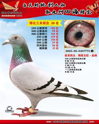 ��Ӣ���ۺ�21��