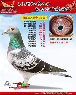 �˹ظ���5��