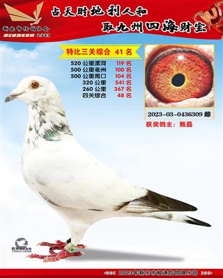 �رȻ��ۺ�41��