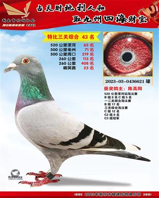 ��Ӣ���ۺ�23��