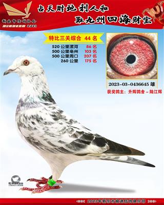 �رȻ��ۺ�44��