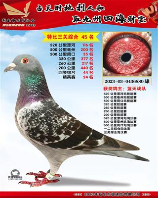 ��Ӣ���ۺ�24��