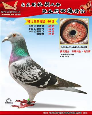 ��Ӣ���ۺ�25��