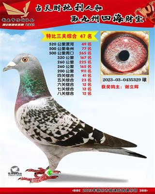 �˹ظ���12��