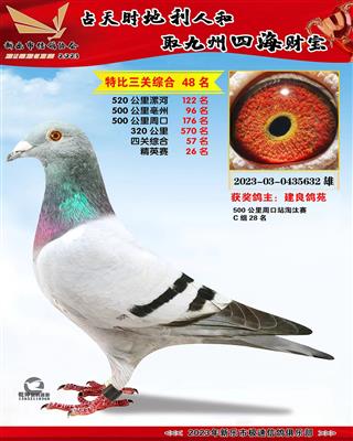 ��Ӣ���ۺ�26��