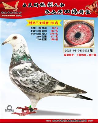 ��ɱ��13��