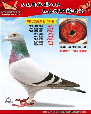 ����ۺ�38��