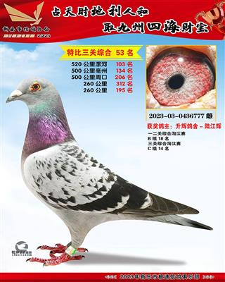 �ر��ۺ�53��