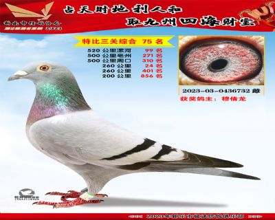 �ر��ۺ�75��