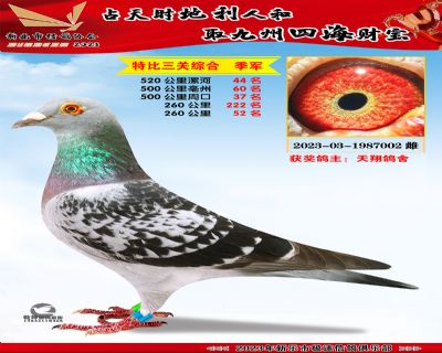 ���ظ�������