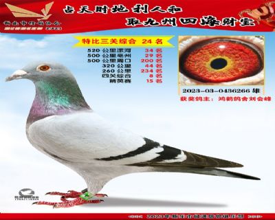 �Ĺظ���8��