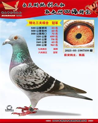 ���ظ����Ǿ�