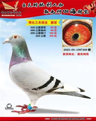 �ر������ۺϵ��