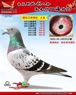 �ر������ۺ�6��